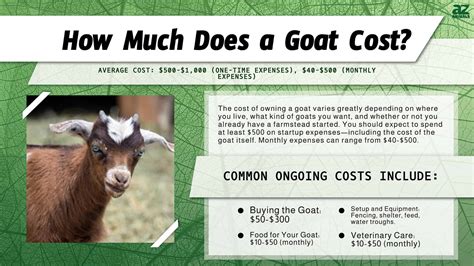 cost of owning a goat